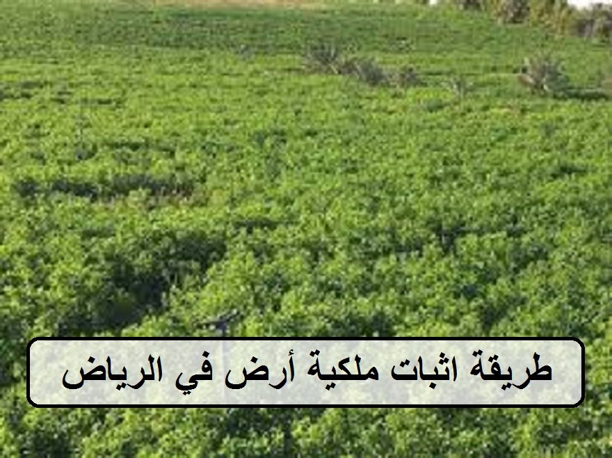 اثبات ملكية أرض